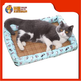 CUSHION SQUARE {XL} 66CMX53CM