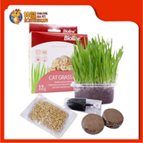 BIOLINE CAT GRASS KIT 12G (2031)