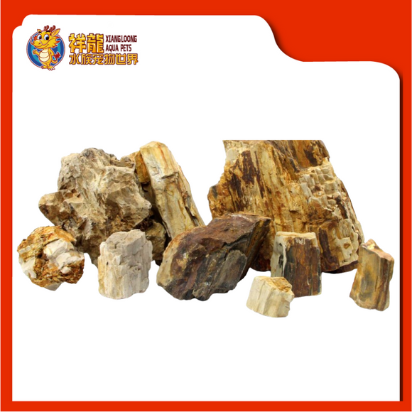 WOODEN FOSSIL STONE