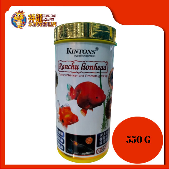KINTONS RANCHU LIONHEAD 550G [K-159]