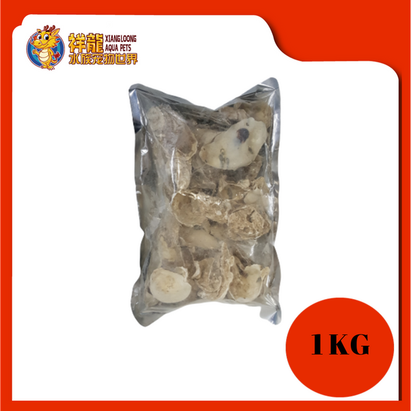 SHELL STONE 1KG