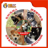 MUZZLE SIZE:5 [42X13CM]