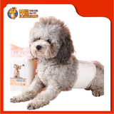 PET DIAPERS MALE [S]