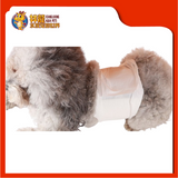 PET DIAPERS MALE [S]