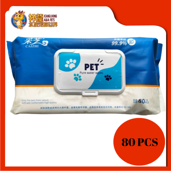 CAIZHI ANTISEPTIC WIPES 20CMX20CM 80PCS