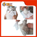 PET WET TISSUE [80PCS]