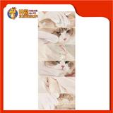 PET GLOVE WIPE 6'S [25x15CM]