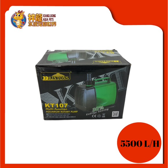 KINTONS KT-107 SUBMERSIBLE PUMP